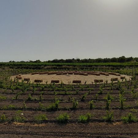 Villa Cozzo Del Parroco - Ospitalita Tra I Vigneti Granelli Exterior foto