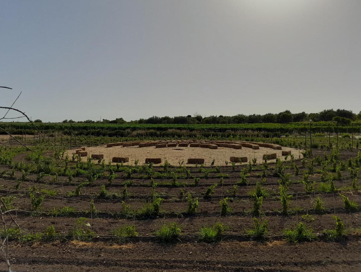 Villa Cozzo Del Parroco - Ospitalita Tra I Vigneti Granelli Exterior foto
